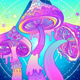 shroom world