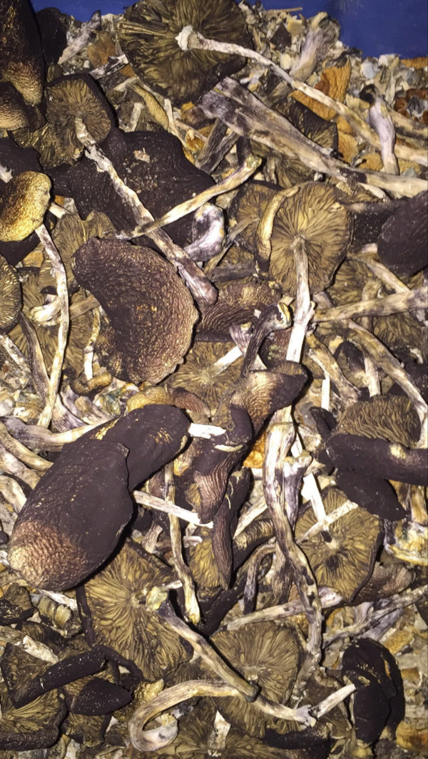 Bottom Beauties 28g