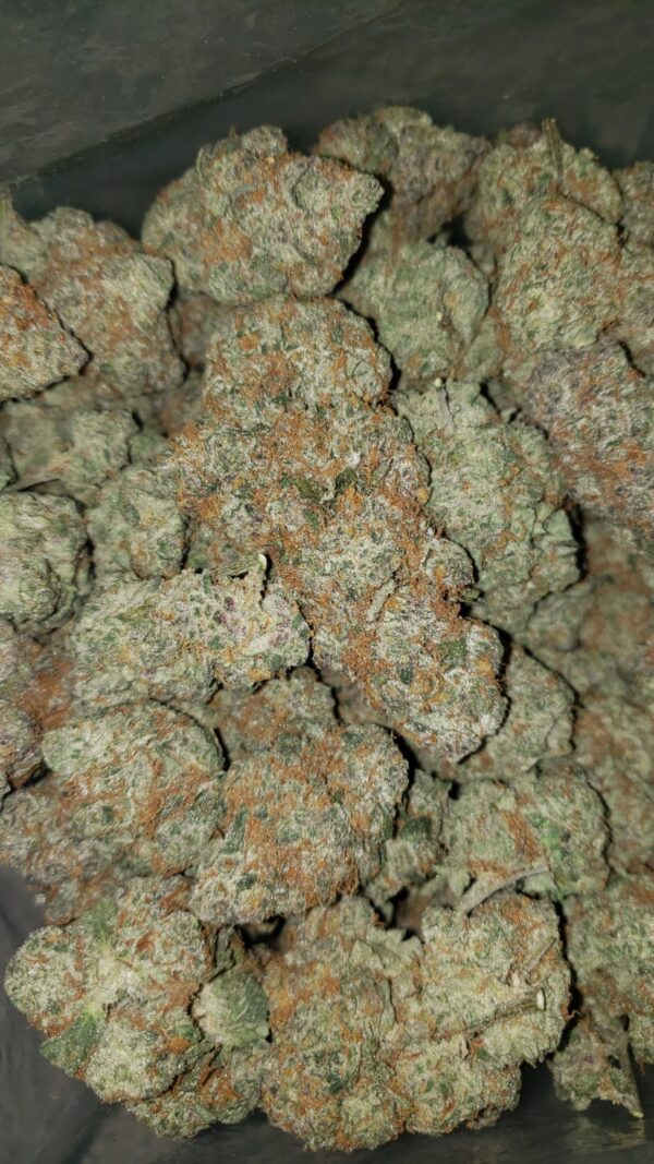 Grease Monkey