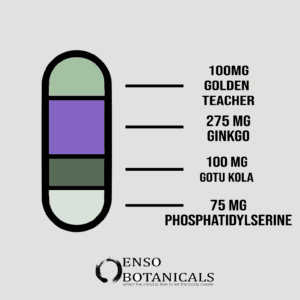 Alternative view of Enso Botanical - Abundance